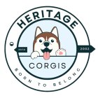Heritage Corgis